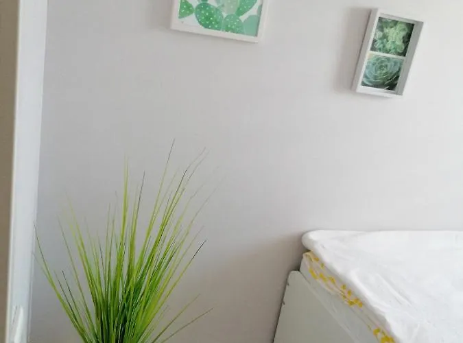 Apartament Dino *
